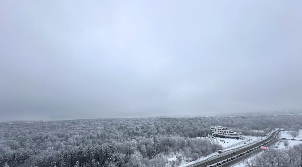 квартира г Нижний Новгород р-н Приокский Горьковская ул Академика Сахарова 117 ЖК «Цветы» фото 18