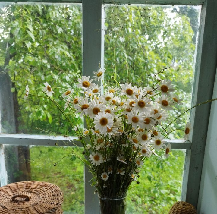 дом р-н Апшеронский ст-ца Нижегородская ул Центральная Нижегородское с/пос фото 3