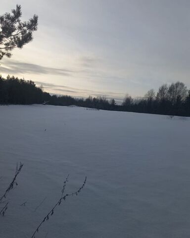 с Полново ул Глинская Демянск фото