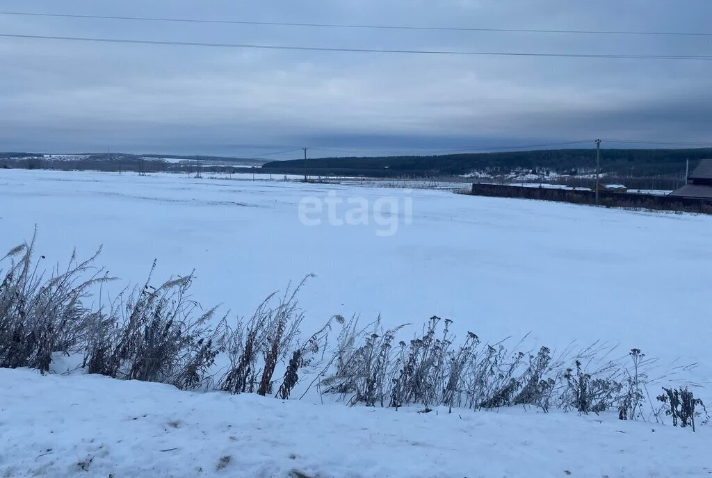 земля р-н Дальнеконстантиновский с Лубянцы фото 1