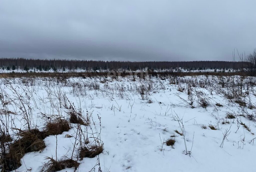 земля р-н Дальнеконстантиновский с Лубянцы фото 3