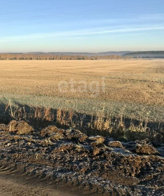 земля р-н Дальнеконстантиновский рп Дальнее Константиново фото 2