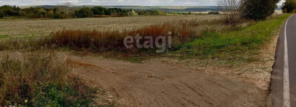 земля р-н Дальнеконстантиновский д Лазазей фото 2