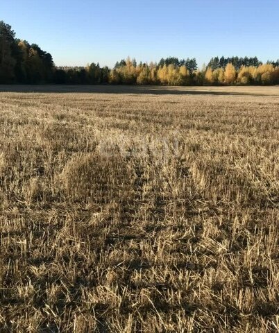 рп Дальнее Константиново фото