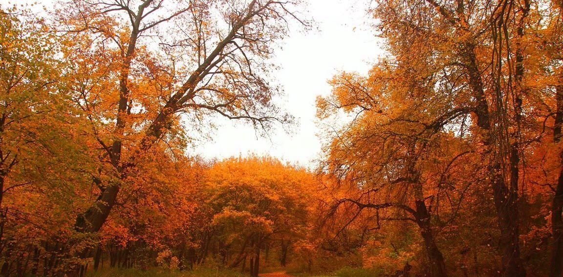 земля р-н Балтийский г Балтийск фото 3