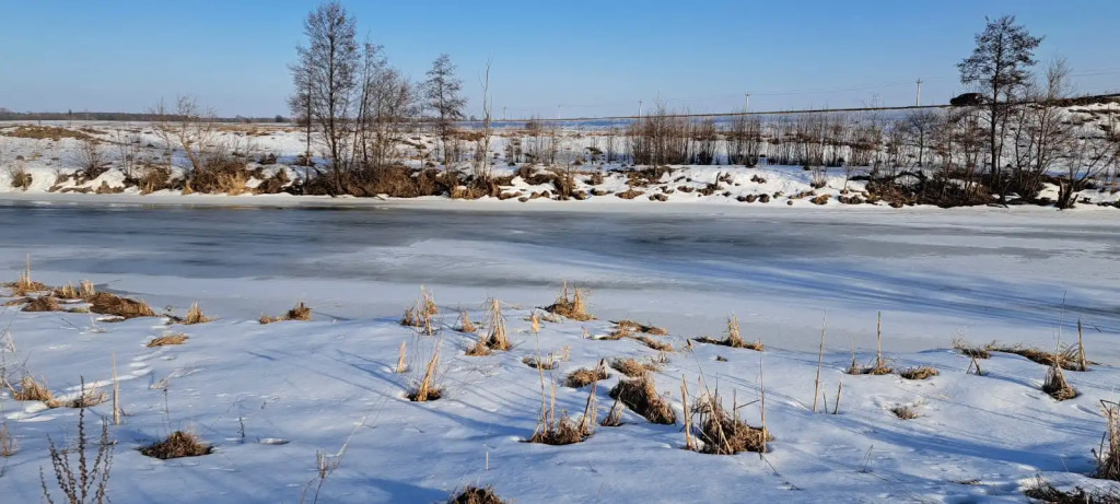 гостиницу р-н Золотухинский с Никольское 111, Курск фото 19