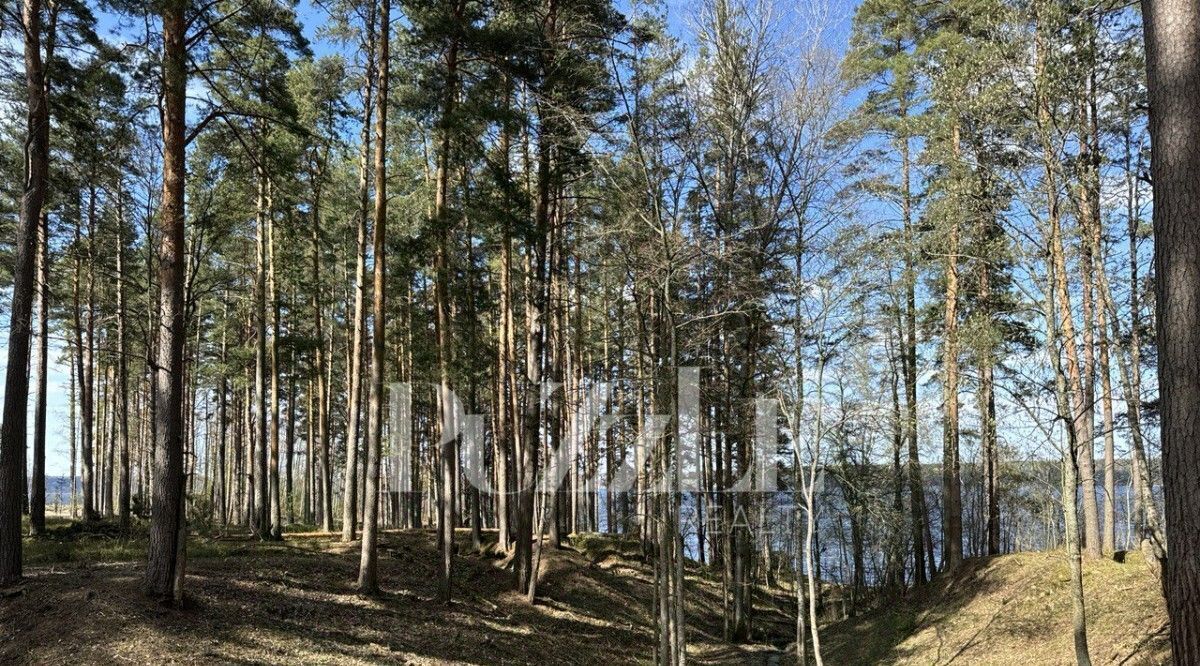 земля р-н Приозерский д Овраги пос, Петровское с фото 9