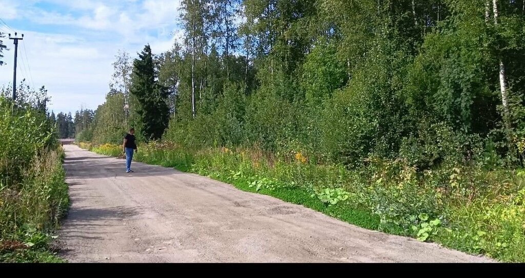 земля р-н Тихвинский снт Заречное Сертоловское городское поселение, Манчестерская улица фото 1