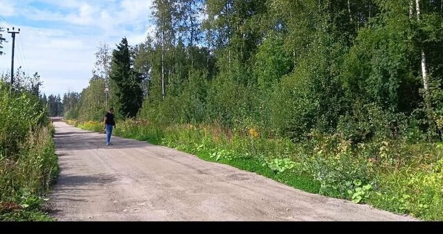 снт Заречное Сертоловское городское поселение, Манчестерская улица фото