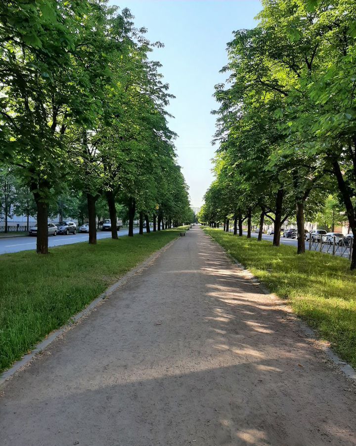 квартира г Санкт-Петербург метро Новочеркасская пр-кт Шаумяна 43 фото 27