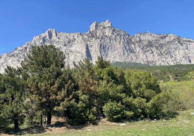 земля г Алупка пгт Кореиз ш Севастопольское фото