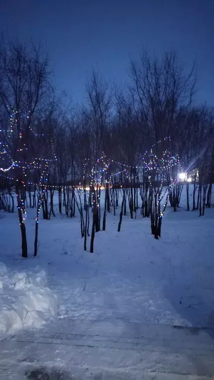 дом городской округ Ленинский п Лопатино Мира улица, 53А фото 3