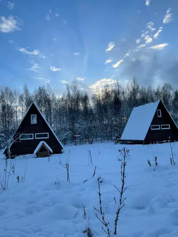 дом городской округ Истра д Ремянники - улица, б/н, Истра фото 3