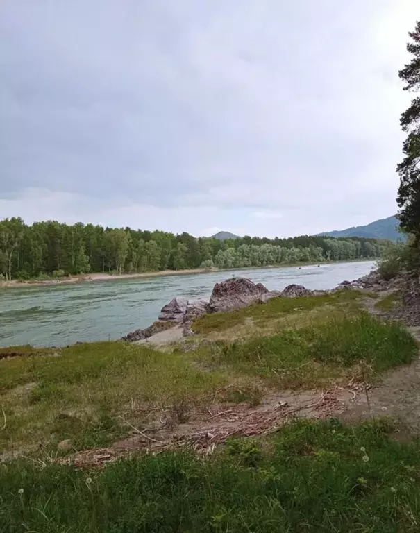 дом р-н Майминский с Соузга ул Центральная 1 фото 14