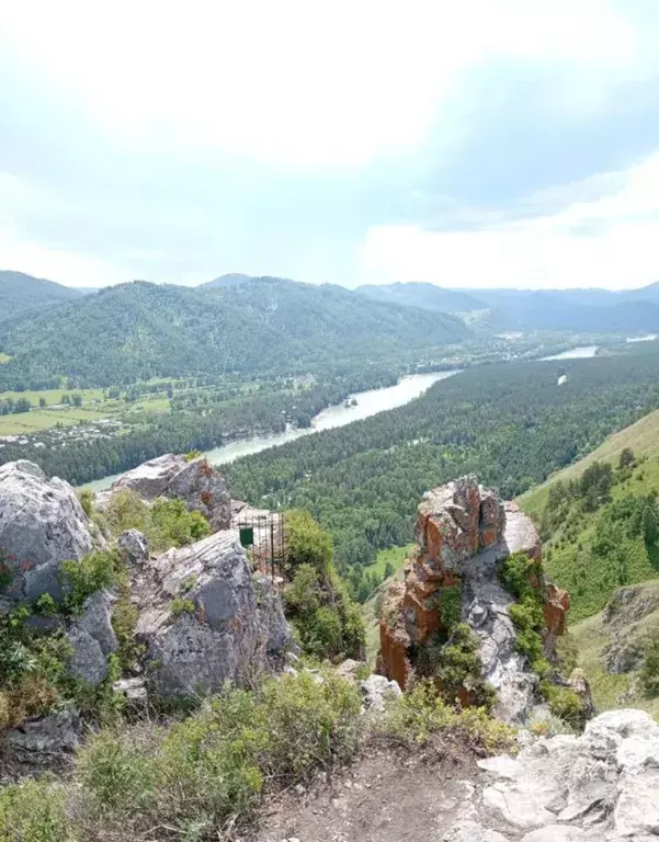 дом р-н Майминский с Соузга ул Центральная 1 фото 15