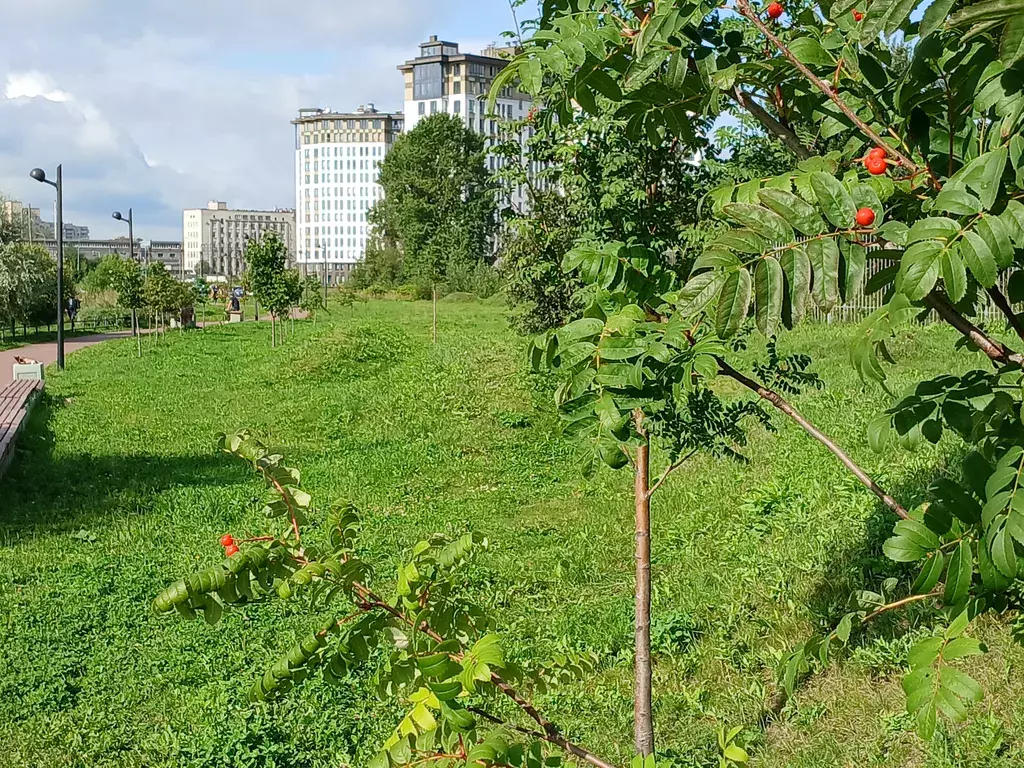 квартира г Санкт-Петербург метро Ломоносовская ул Варфоломеевская 6 Ленинградская область фото 5