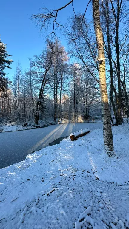 дом р-н Приозерский п Беличье ул Щербаковская 8 фото 38