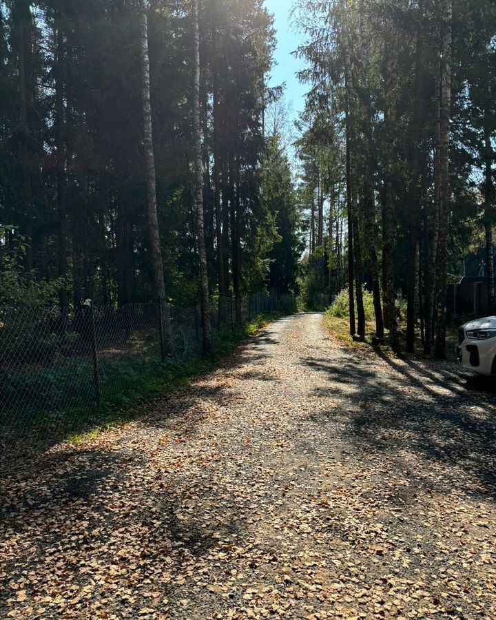 земля городской округ Солнечногорск рп Менделеево 25 км, д. Покров, г. о. Солнечногорск, Рогачёвское шоссе фото 9