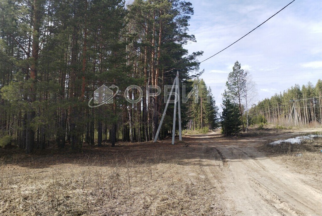 земля р-н Нижнетавдинский с Тюнево ул Новая фото 3