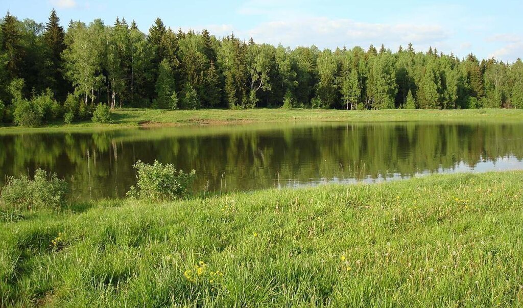 земля городской округ Наро-Фоминский д Загряжское 20 фото 1