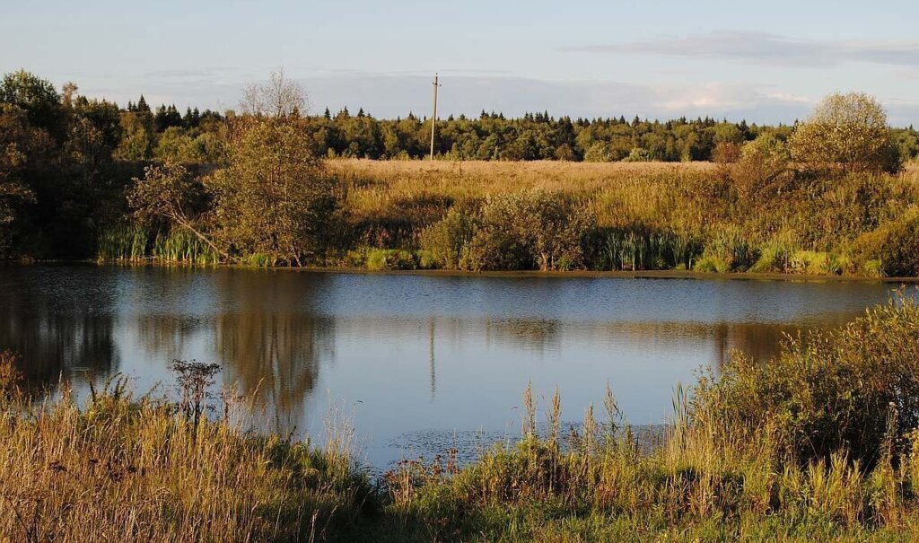 земля городской округ Наро-Фоминский д Загряжское 20 фото 3