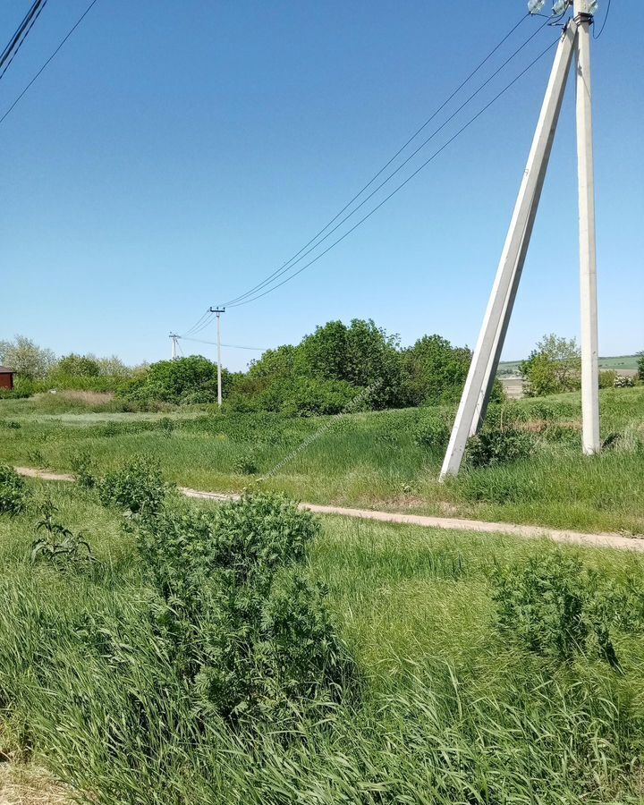 земля р-н Неклиновский с Николаевка ул Гоголя Николаевское сельское поселение, Николаевка фото 2