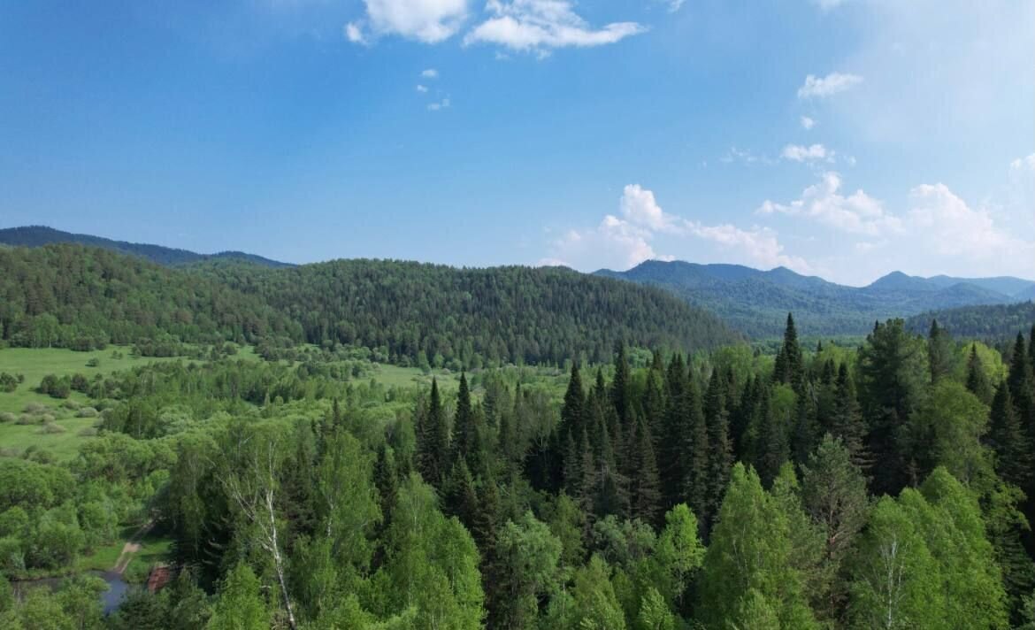 земля г Санкт-Петербург метро Адмиралтейская пл Дворцовая фото 3