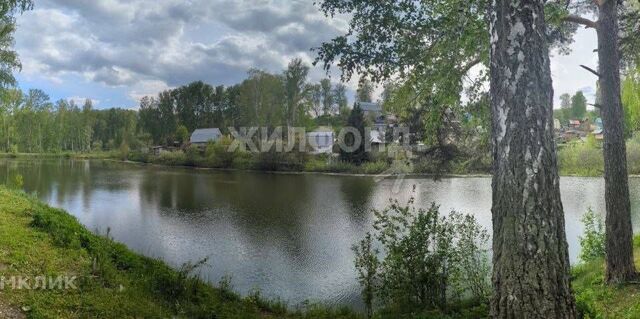 СНТ Медик, Новосибирский район фото