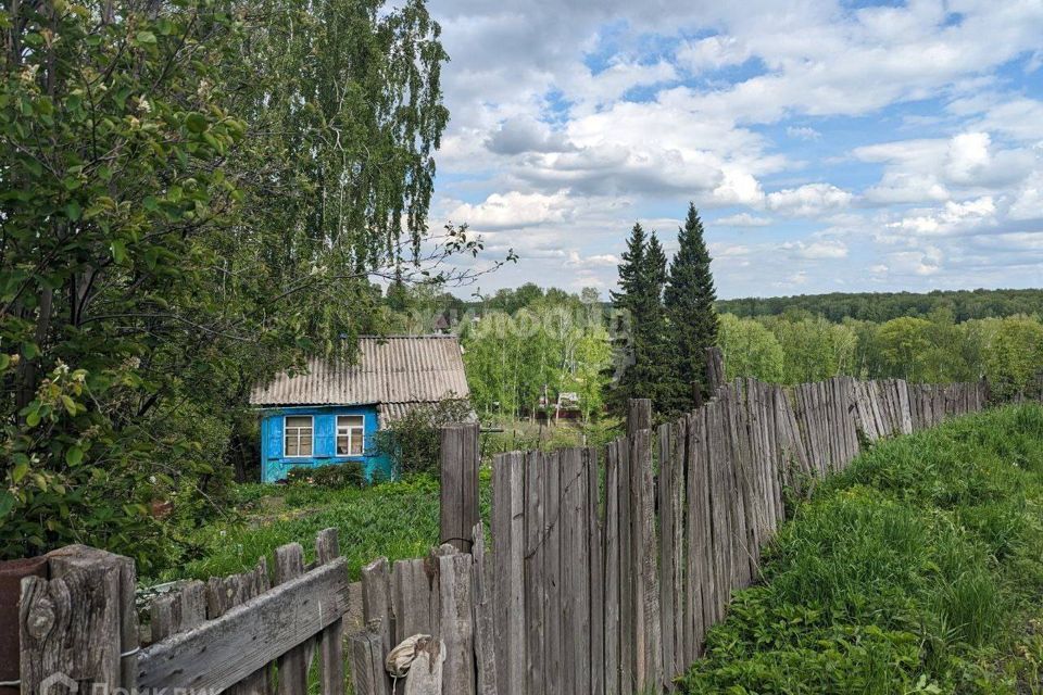 земля г Новосибирск СНТ Медик, Новосибирский район фото 3