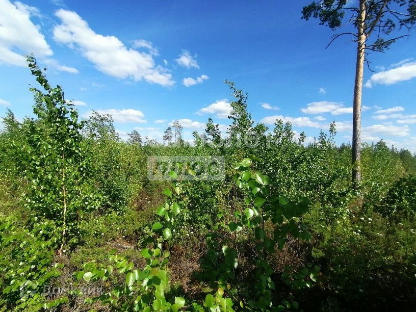 земля городской округ Нягань, садовый массив № 2 фото 3