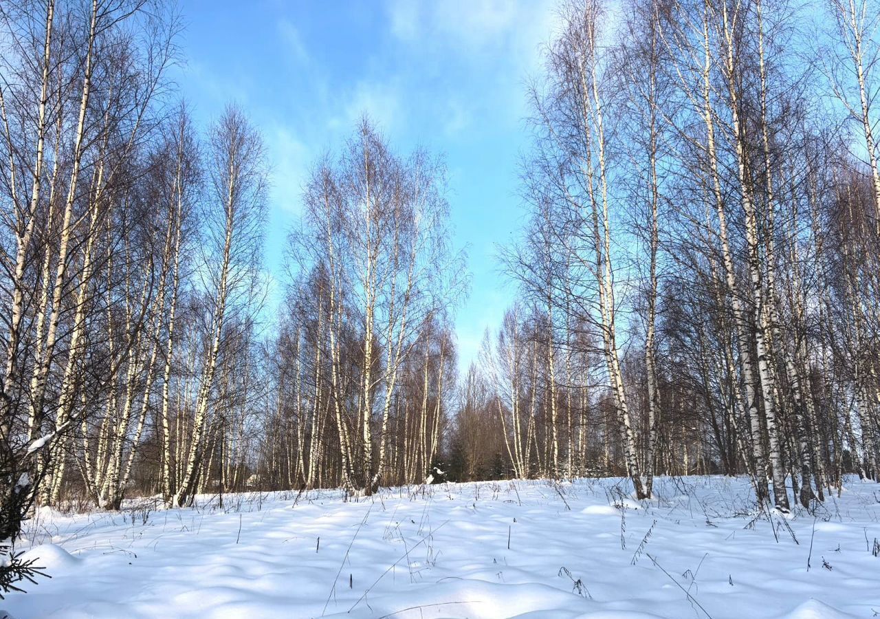 земля городской округ Домодедово 27 км, 4А, д. Степанчиково, Новокаширское шоссе фото 2