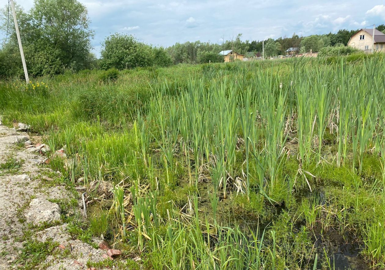 земля городской округ Раменский днп Старая Мельница 39 км, Раменское, Егорьевское шоссе фото 2