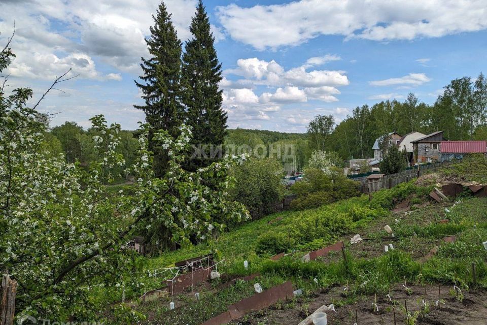 земля г Новосибирск СНТ Медик, Новосибирский район фото 6