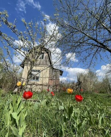 Старый Оскол, СНТ Строитель фото