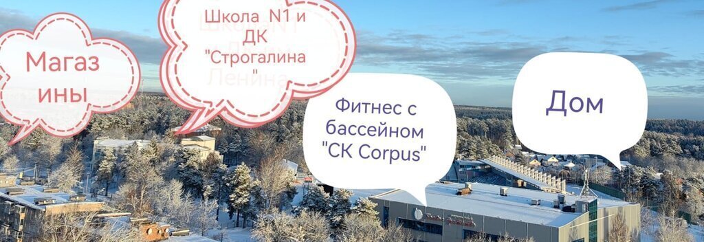 дом городской округ Пушкинский г Красноармейск ул Красноворенская 13 фото 2