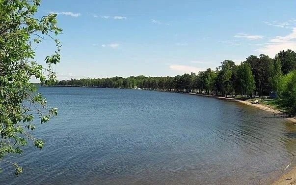 земля р-н Каслинский Воздвиженское сельское поселение, Снежинск фото 2