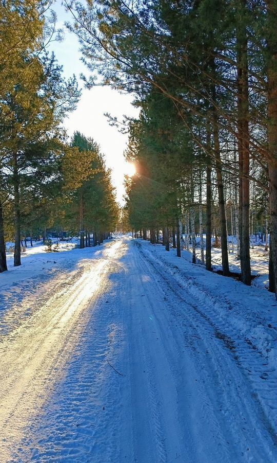 земля р-н Белоярский п Гагарский загородный комплекс Лайф, Заречный фото 6