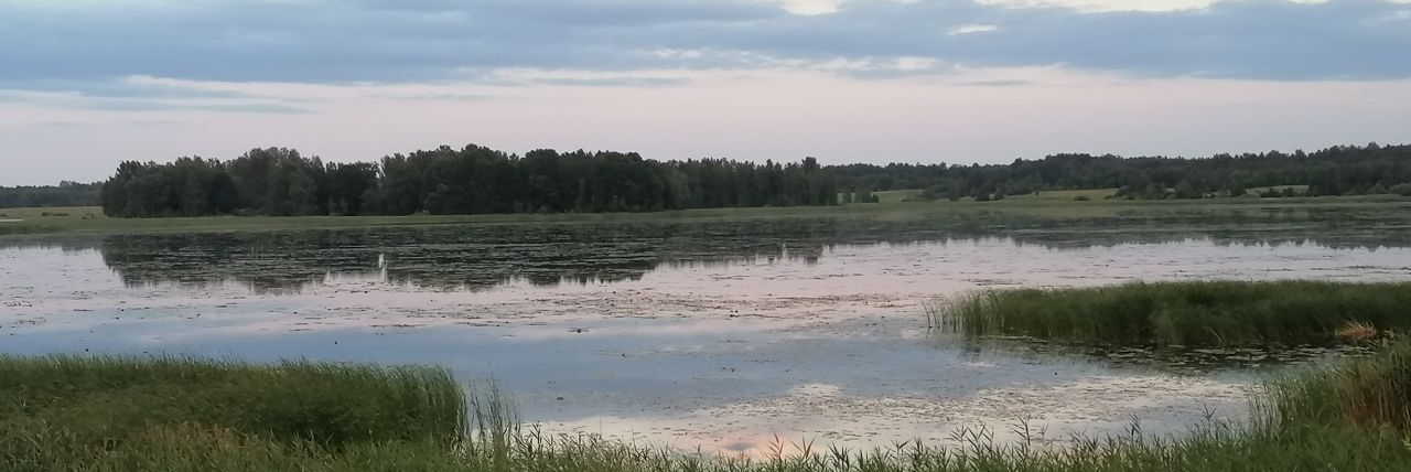 дом р-н Пушкиногорский д Крылово Пушкиногорье муниципальное образование фото 1