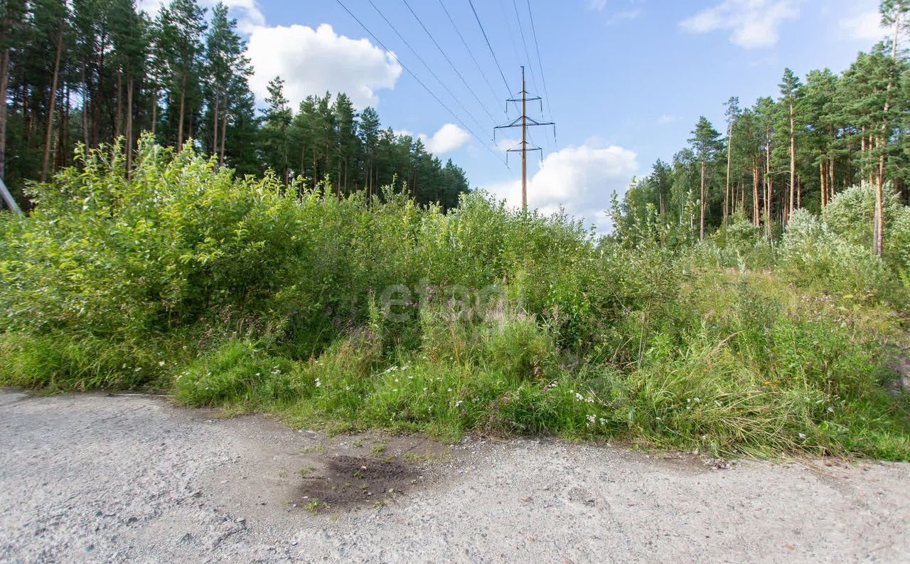 земля г Тобольск р-н мкр Усадьба ул Центральная фото 2