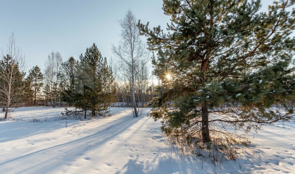 земля р-н Тюменский ДНТ Янтарное, Придорожная улица фото 5