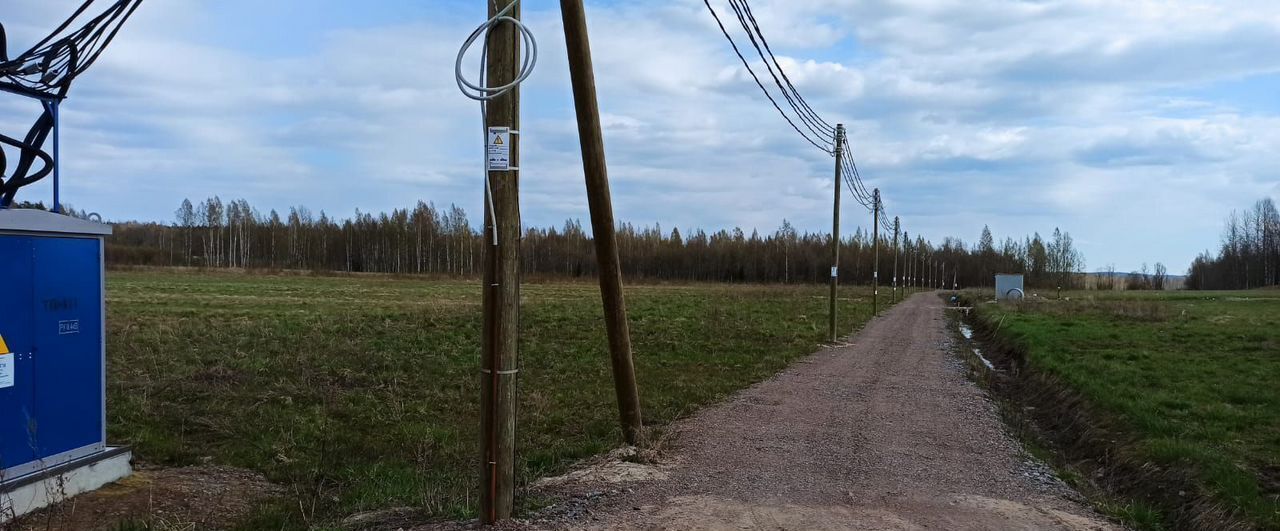 земля р-н Приозерский Трасса Скандинавия, 65 км, Красноозёрное сельское поселение, Марченковская ул, Коробицыно фото 9