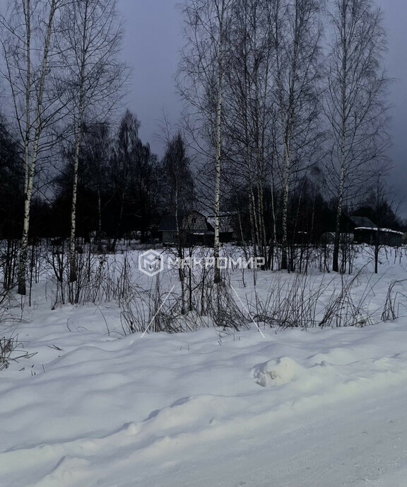 земля городской округ Можайский д Денисьево фото 9