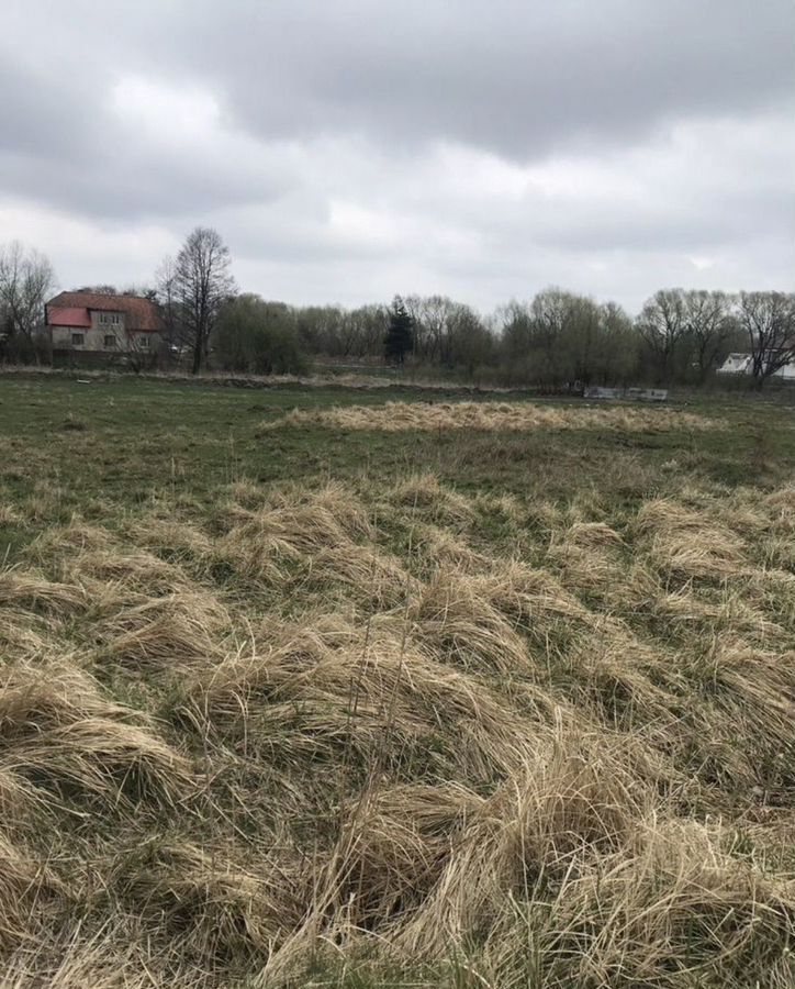 земля р-н Гурьевский п Полевое ул Садовая Калининград фото 3