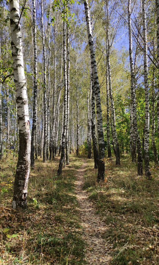 квартира городской округ Ступино п Усады ул Пролетарская 11 Михнево фото 16