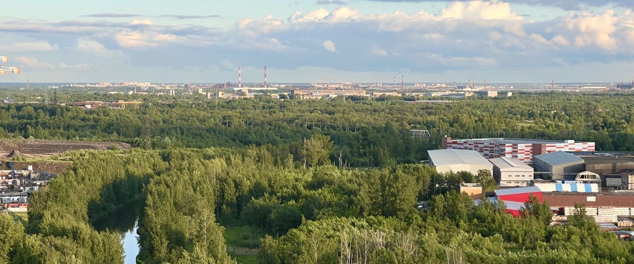 квартира г Санкт-Петербург метро Рыбацкое Усть-Славянка наб Славянская 8 округ Рыбацкое фото 12