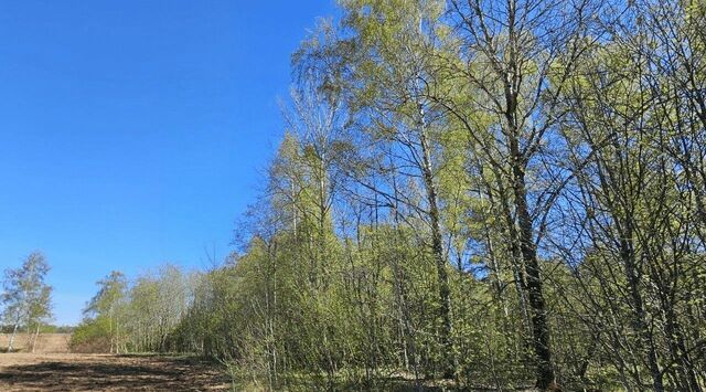 снт Белоостров фабрики им. Желябова Сертоловское городское поселение фото