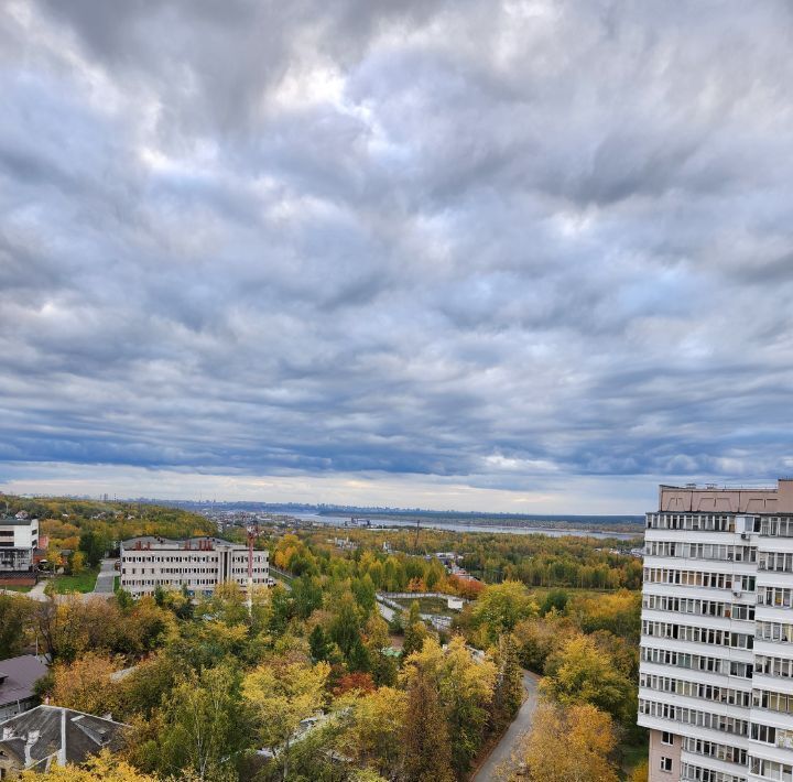 квартира г Пермь р-н Орджоникидзевский ул Академика Веденеева 15 фото 29