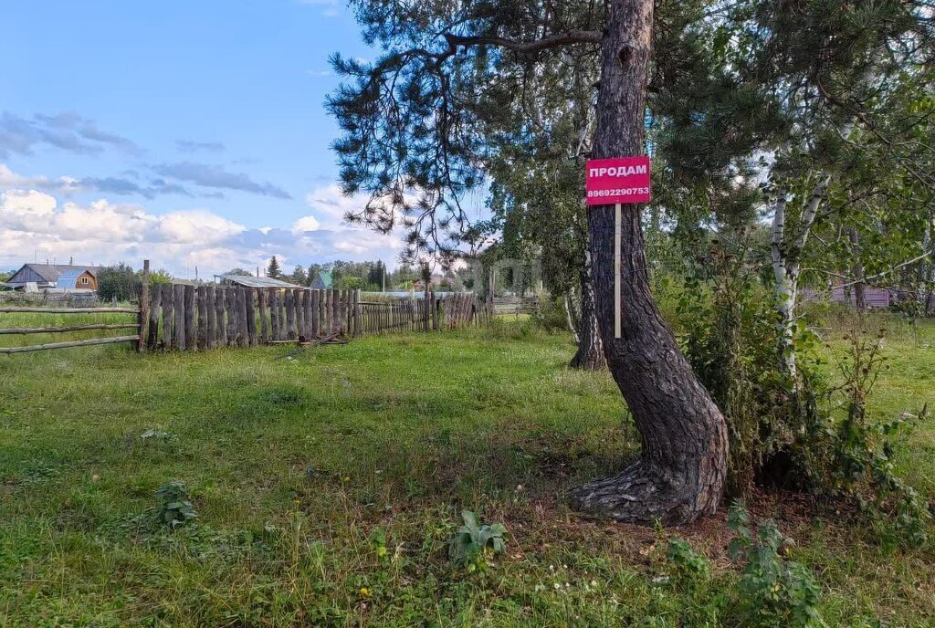 земля р-н Искитимский п Тула ул Березовая Роща Быстровский сельсовет фото 3