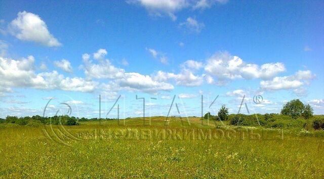 земля п Никифоровское Каменногорское городское поселение фото