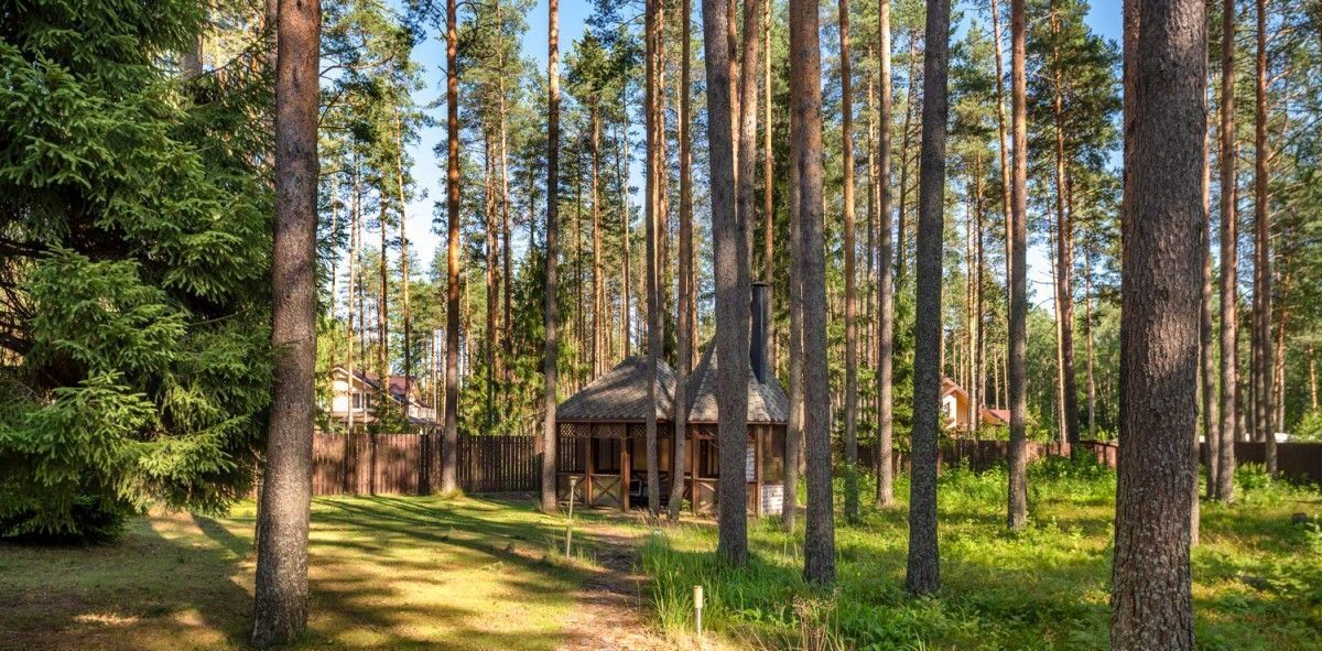 земля р-н Всеволожский п Западная Лица ул Мостовая 1 Сертоловское городское поселение, Проспект Просвещения фото 10